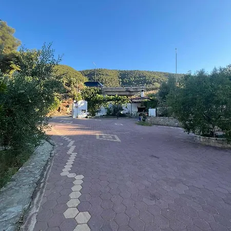 Petrosstudios